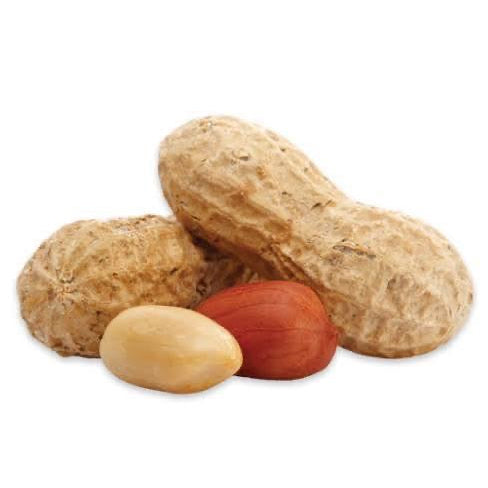 Praliné Cacahuète 75% Artisanal 100g - Sans Stabilisateur