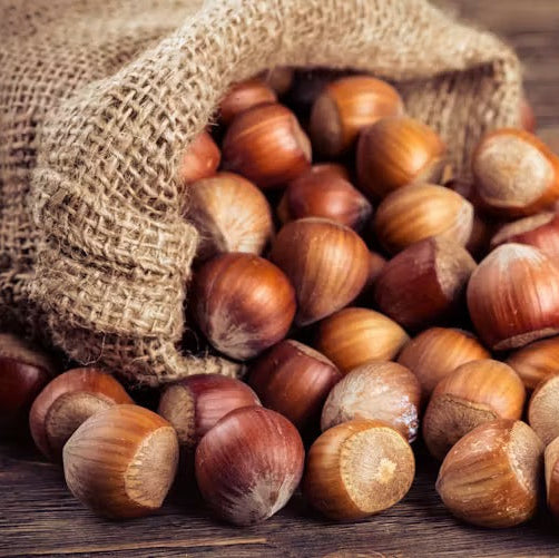 NOISETTE ENTIÉRE BLANCHIE TURQUIE